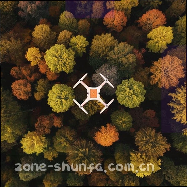 符号化的发展里程碑图形